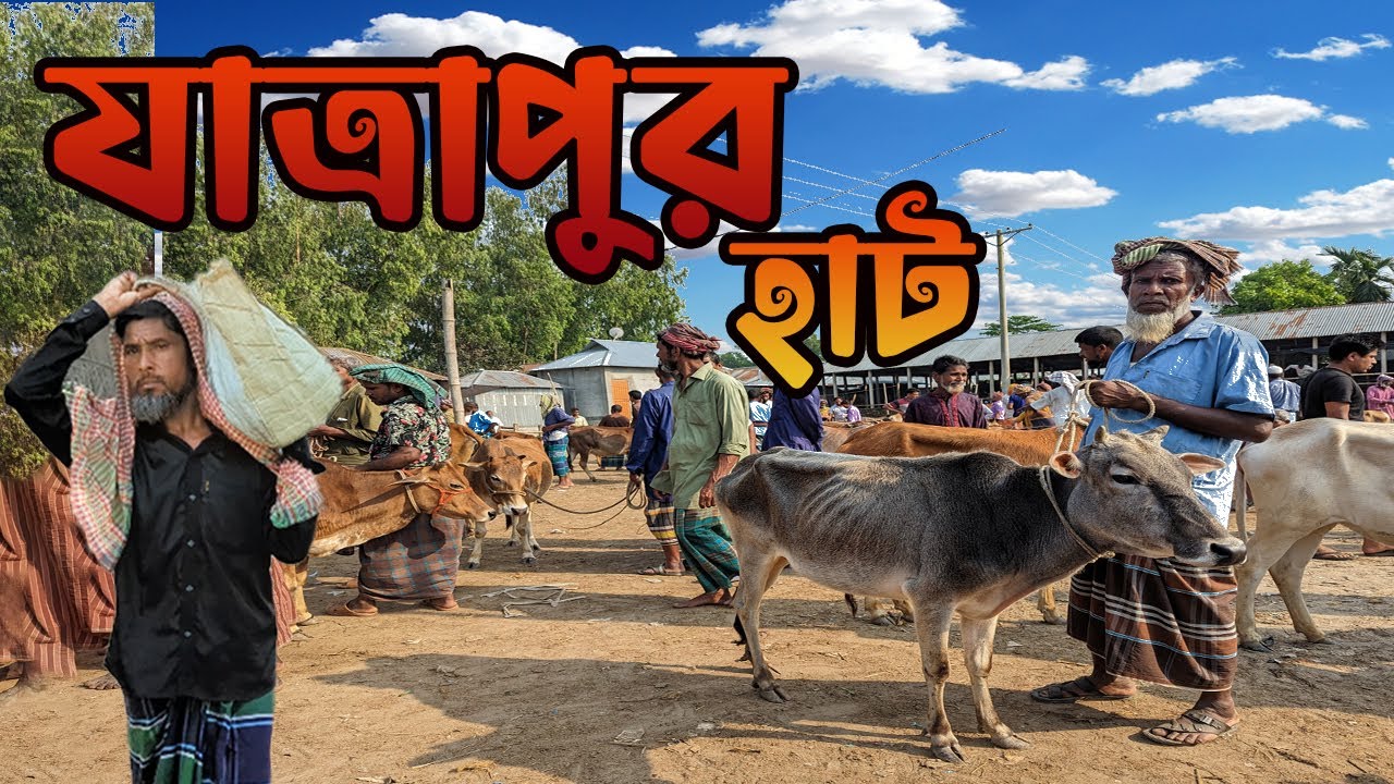 যাত্রাপুর হাট || কুড়িগ্রামের ঐতিহ্যবাহী প্রাচীন হাট  || Jatrapur haat | Kurigram | Travel With Jihad