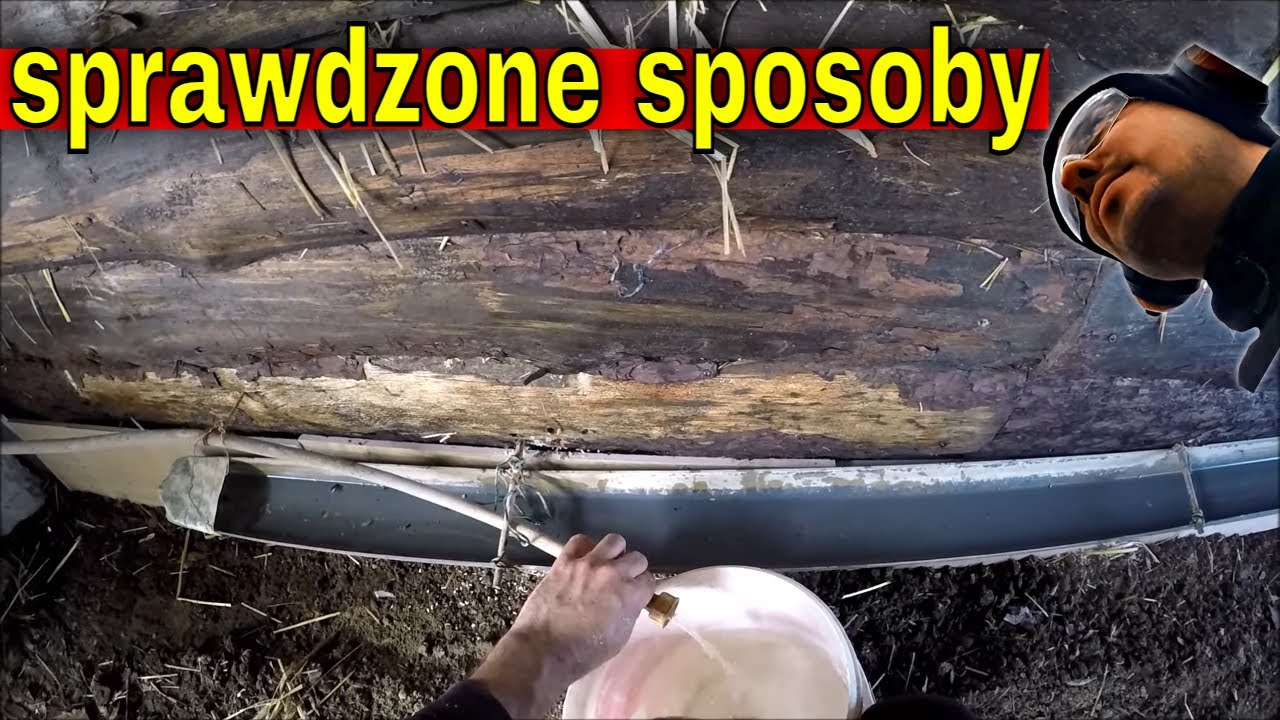 Proste poidło grawitacyjne w hodowli brojlerów.