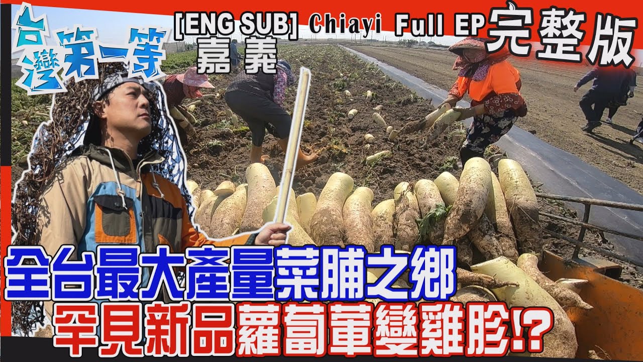 [全新] 嘉義【朴子市場超夯三寶