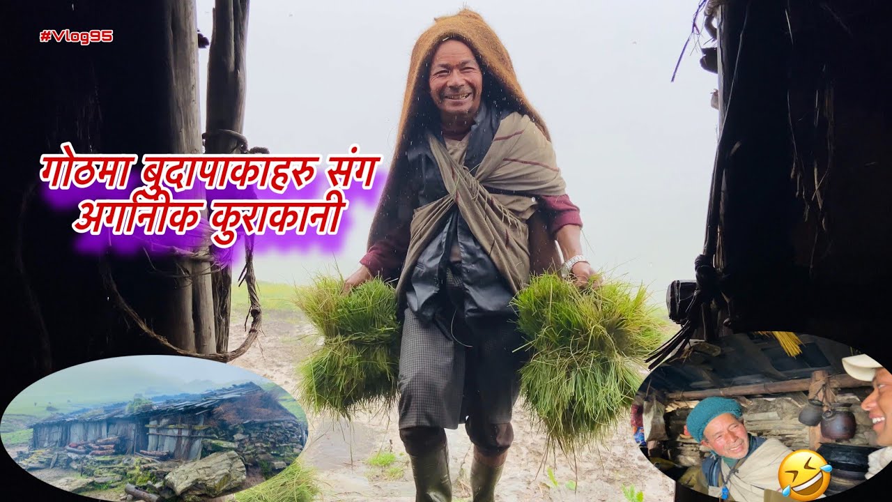 गोठमा बुढापाकाहरु संग अर्गानिक अनि रमाइलो कुराकानी🤣||Buki Vlogs||अत्ति रमाइलो गर्ने के हाम्रो बाजे🤣
