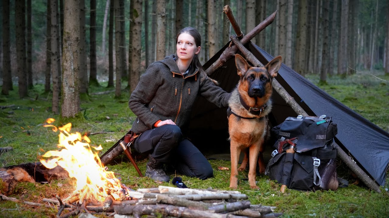 Bushcraft tour 🌲 wilderness trip 🦊 camp in the forest 🌲 campfire, minus degrees, German Shepherd 🔥