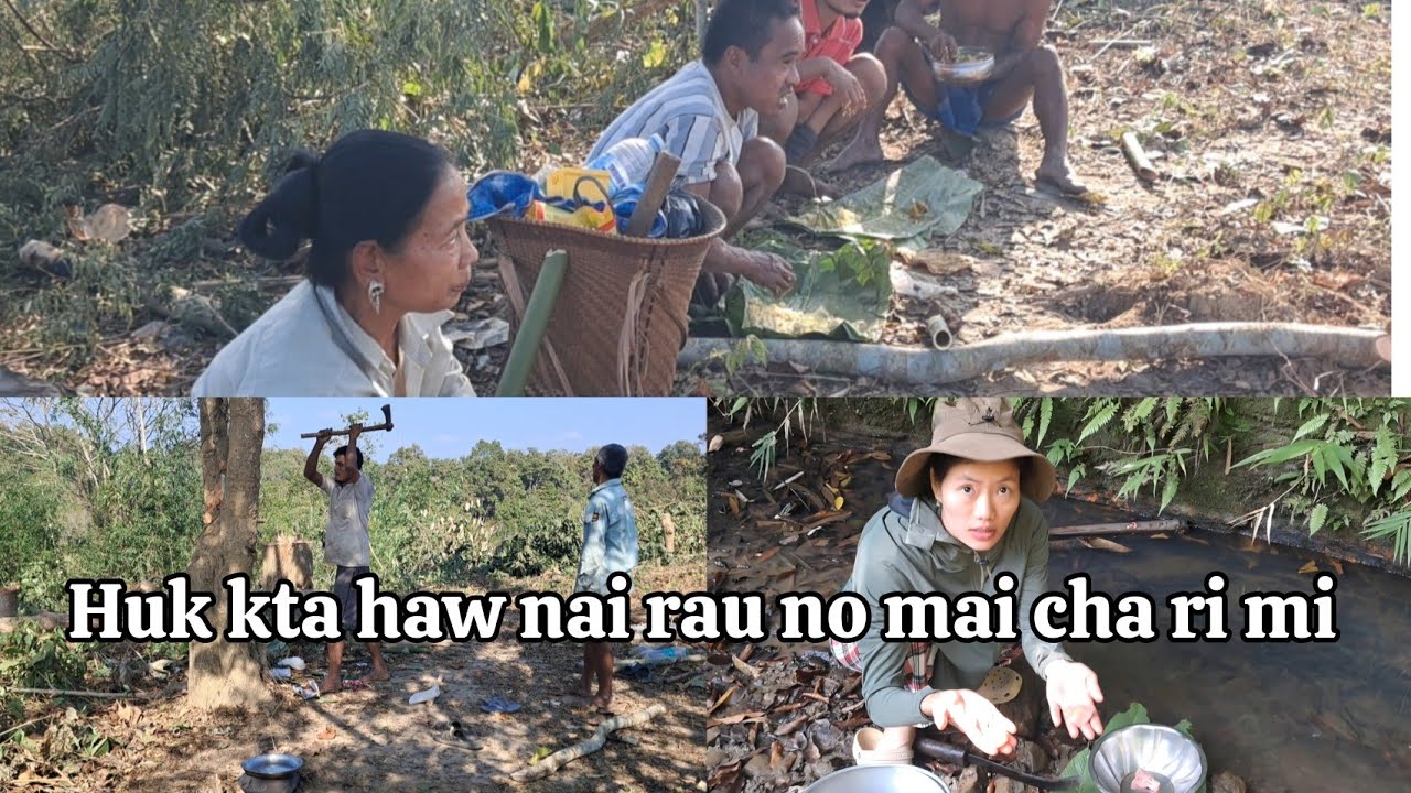 Huk kta haw paiha rubber kai ni || New jhum for rubber plantation || Miss Champa Official