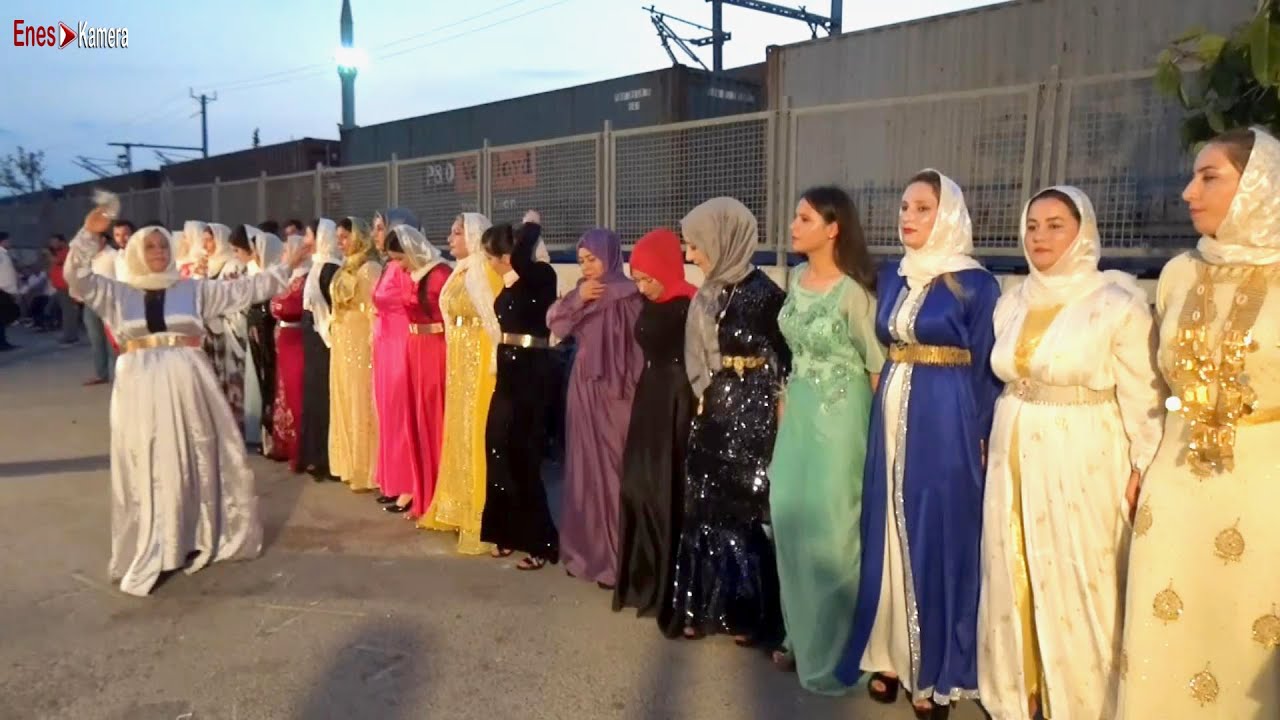 Hakiki Şevko Halayı 2021 Kürt Aşiret Düğünü - İşte Böyle Oynanır