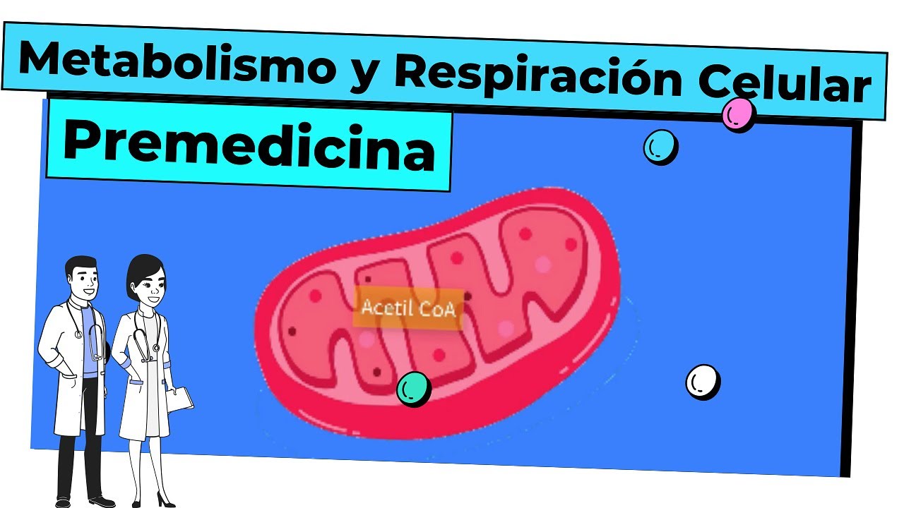 EXANI-II | Premedicina: Biología celular - Metabolismo y Respiración celular