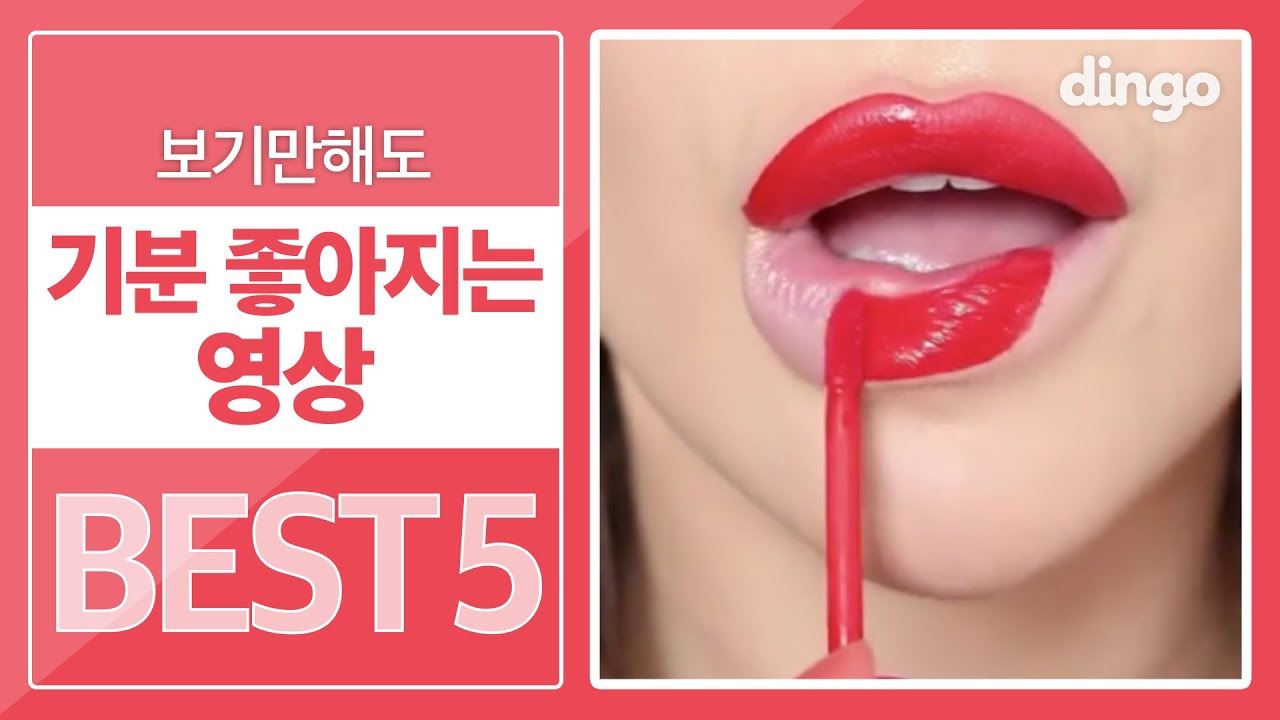 보기만해도 기분 좋아지는 영상 BEST 5