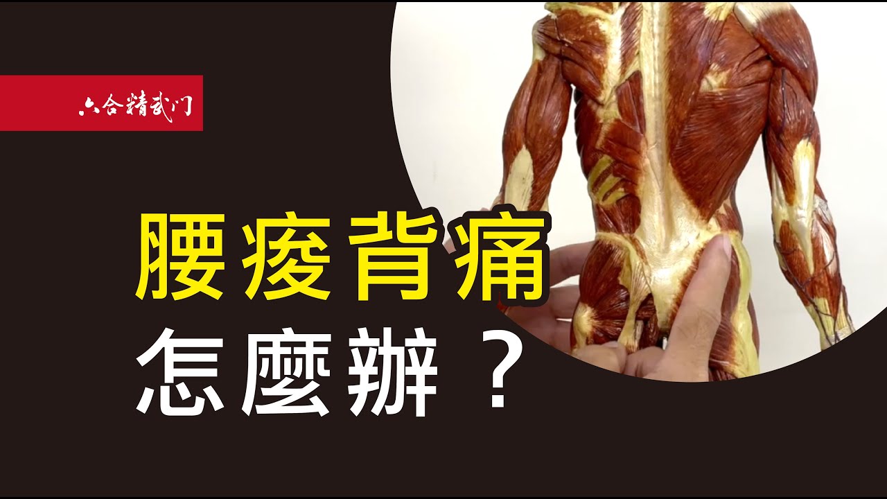 鬼手武醫【找出腰痠背痛的元兇】