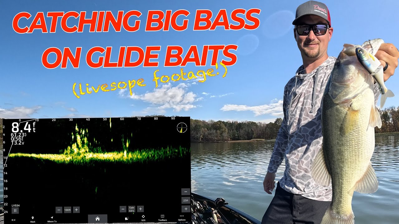 Catching Big Bass with my New FAVORITE Glide Bait! (LiveScope Footage!!)