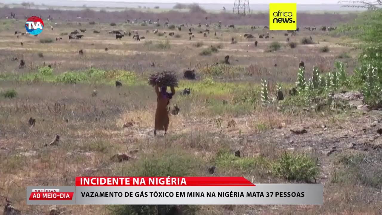NOTICIAS AO MEIO-DIA || 20.02.2026