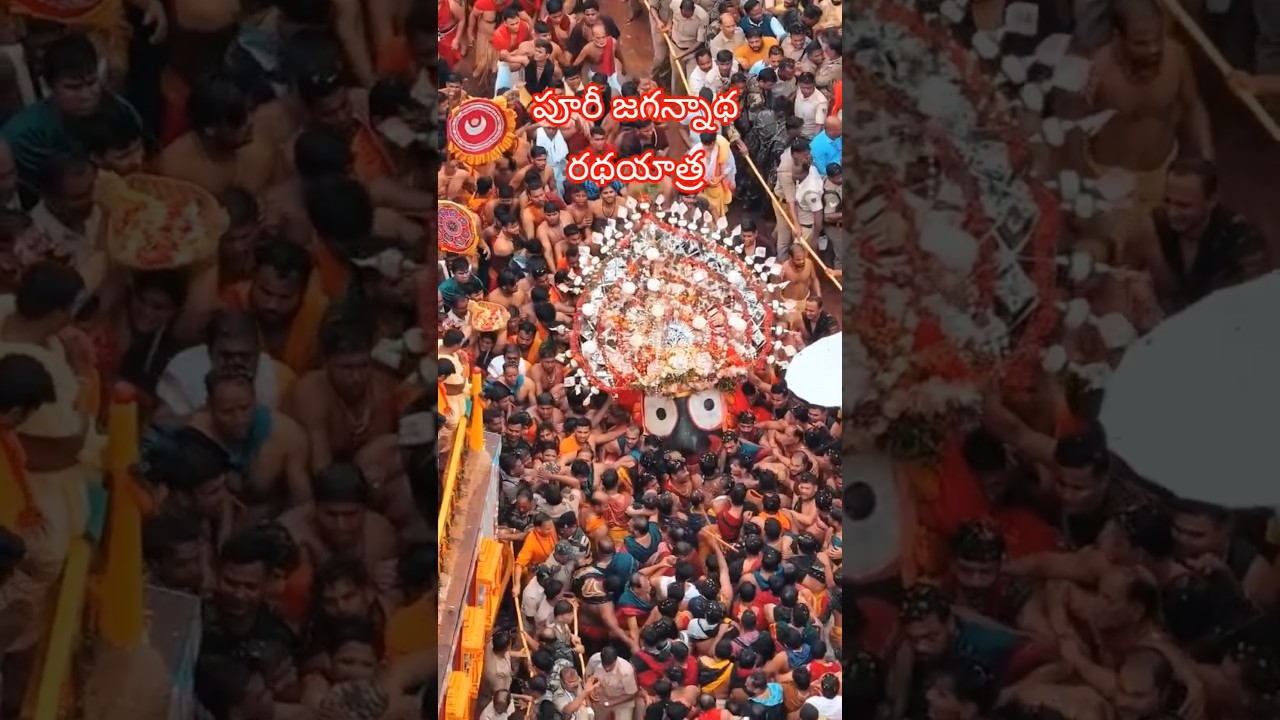 Puri Jagannath Rath Yatra 2025 LIVE | Rath Yatra 2025 Live From Puri Jagannath Dham || #shorts