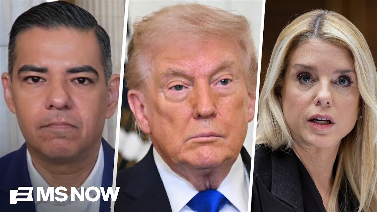 Top Oversight Dem on Epstein files: 'There clearly are documents missing'