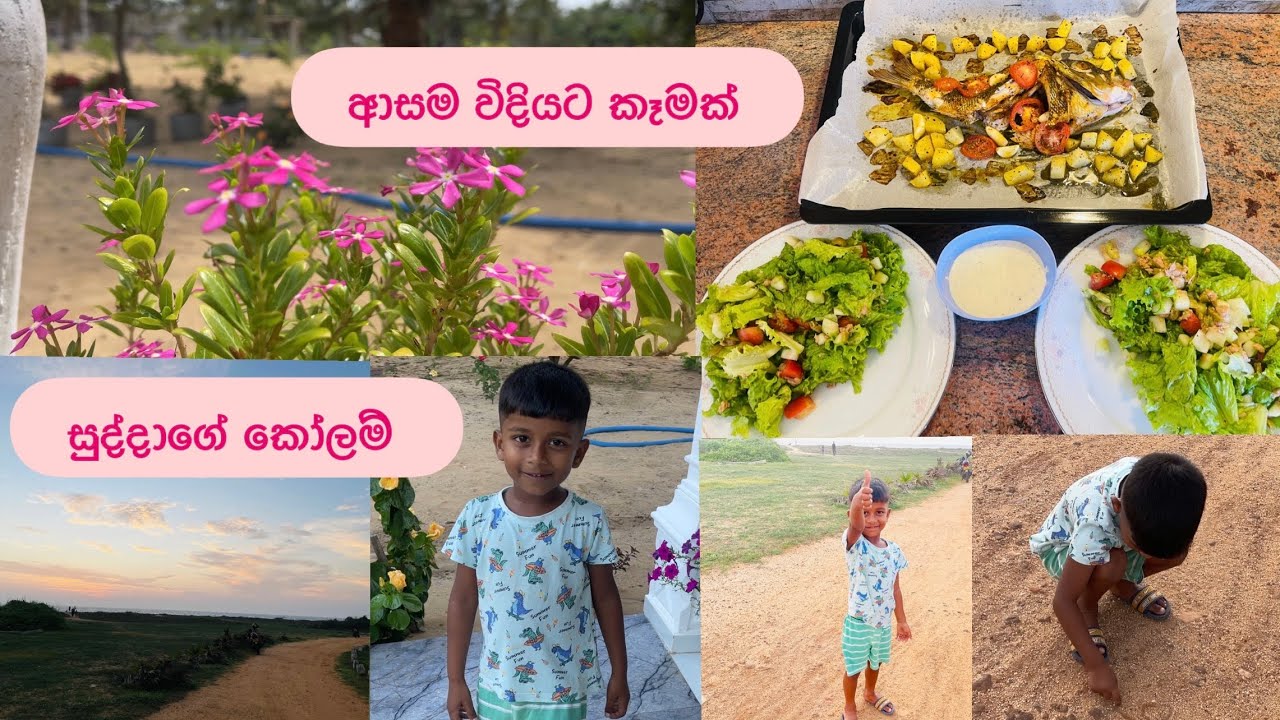 ආසම විදියට සැහැල්ලු කෑමක්🥗සුද්දාගේ කෝලම්❤️🐶