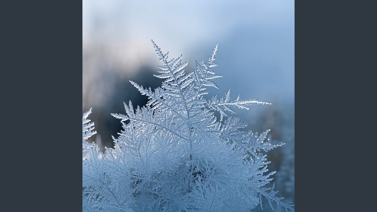 Frost on the Window