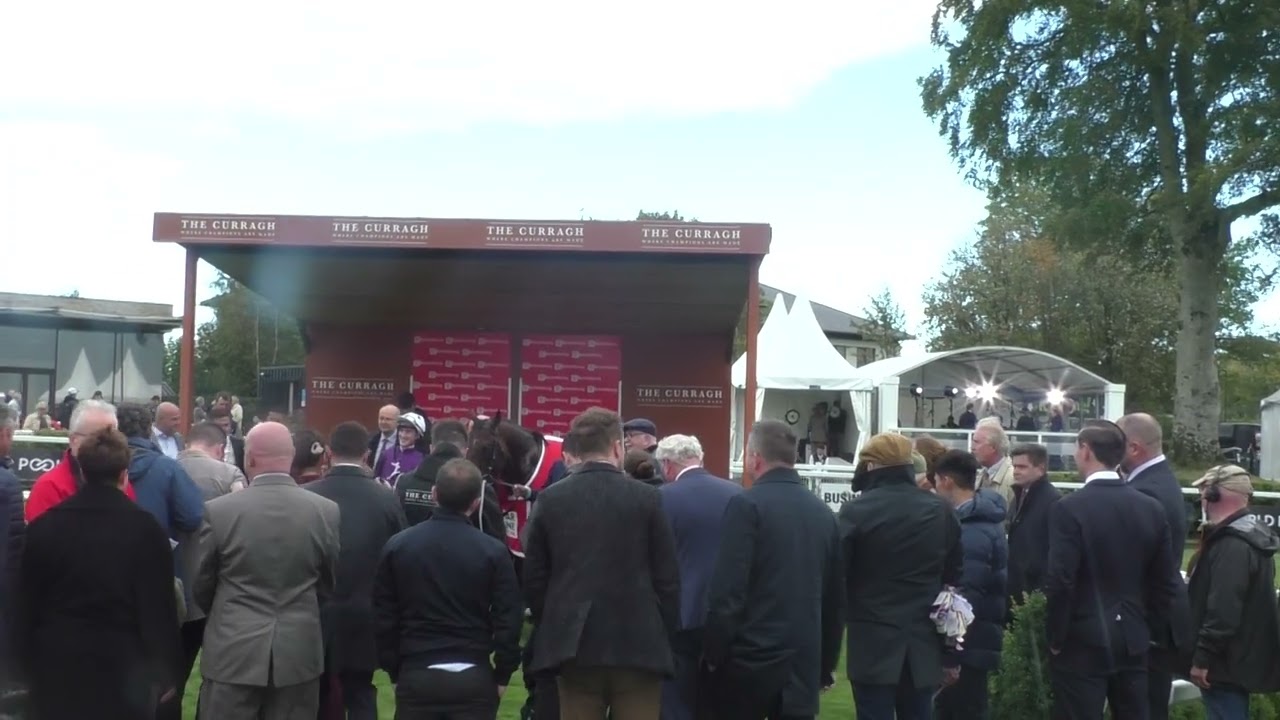 Racing at the Curragh - 2025-09-14 Sunday - The Irish St Ledger Weekend, video 7