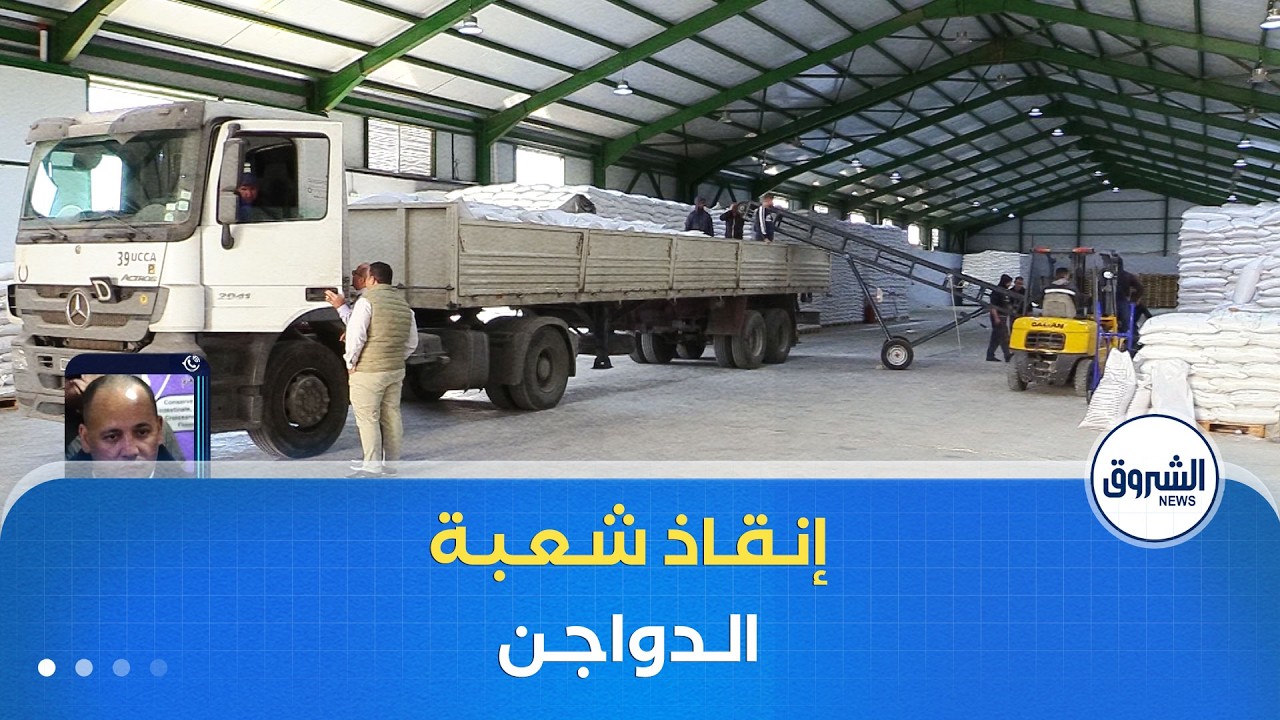 وزارة الفلاحة تضخ أزيد من مليون طن من الذرة في الأسواق لإنقاذ شعبة الدواجن