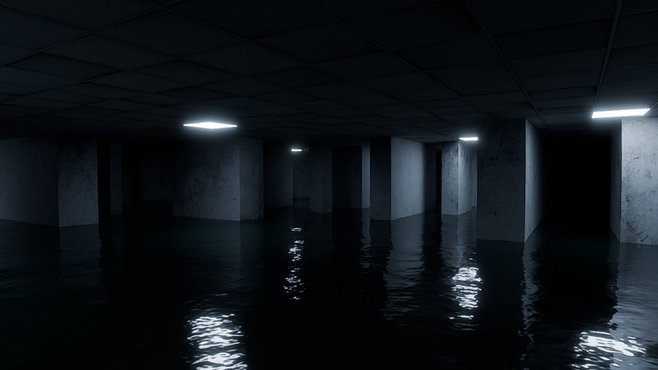 Backrooms - flood warning (found footage)