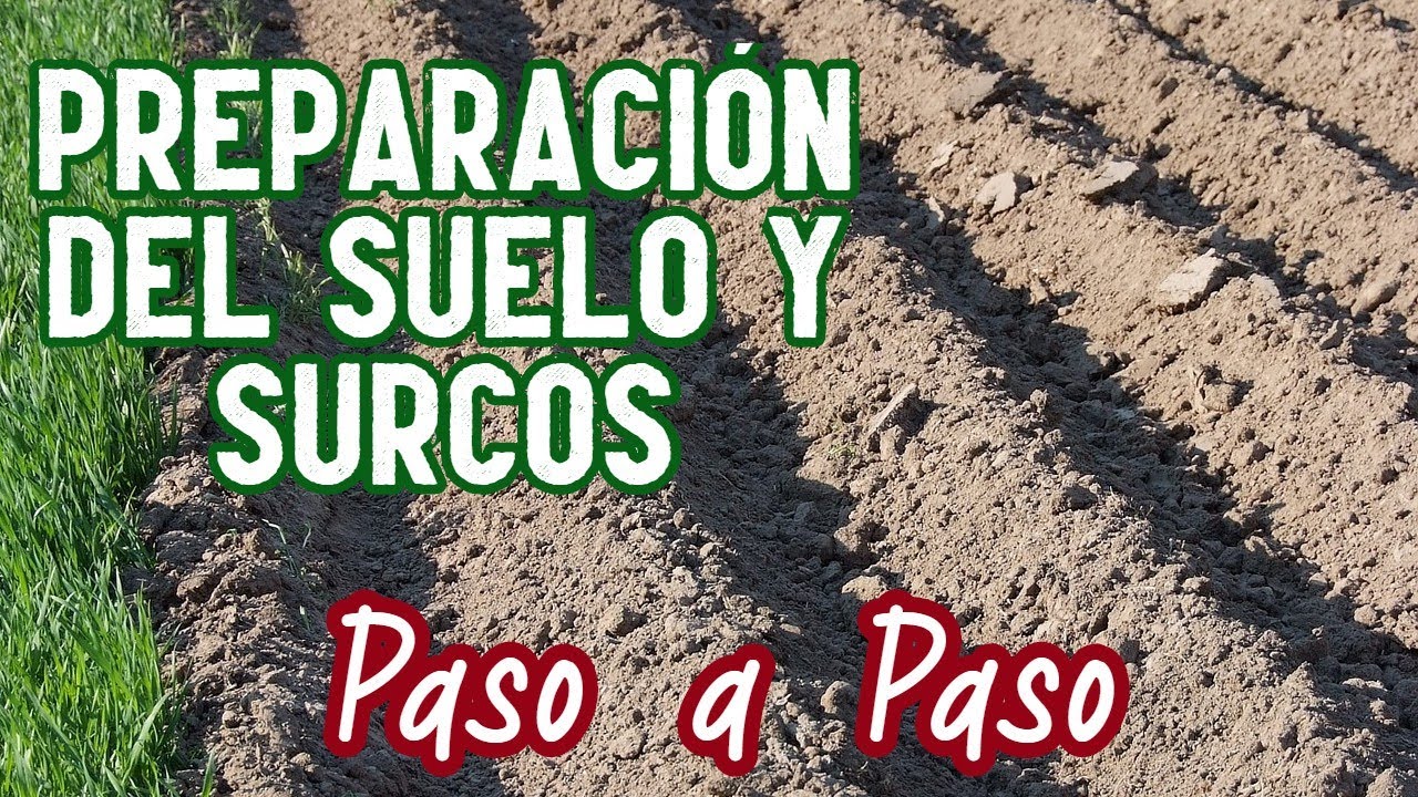Aprende a preparar el suelo & hacer Surcos para tu Huerto paso a paso