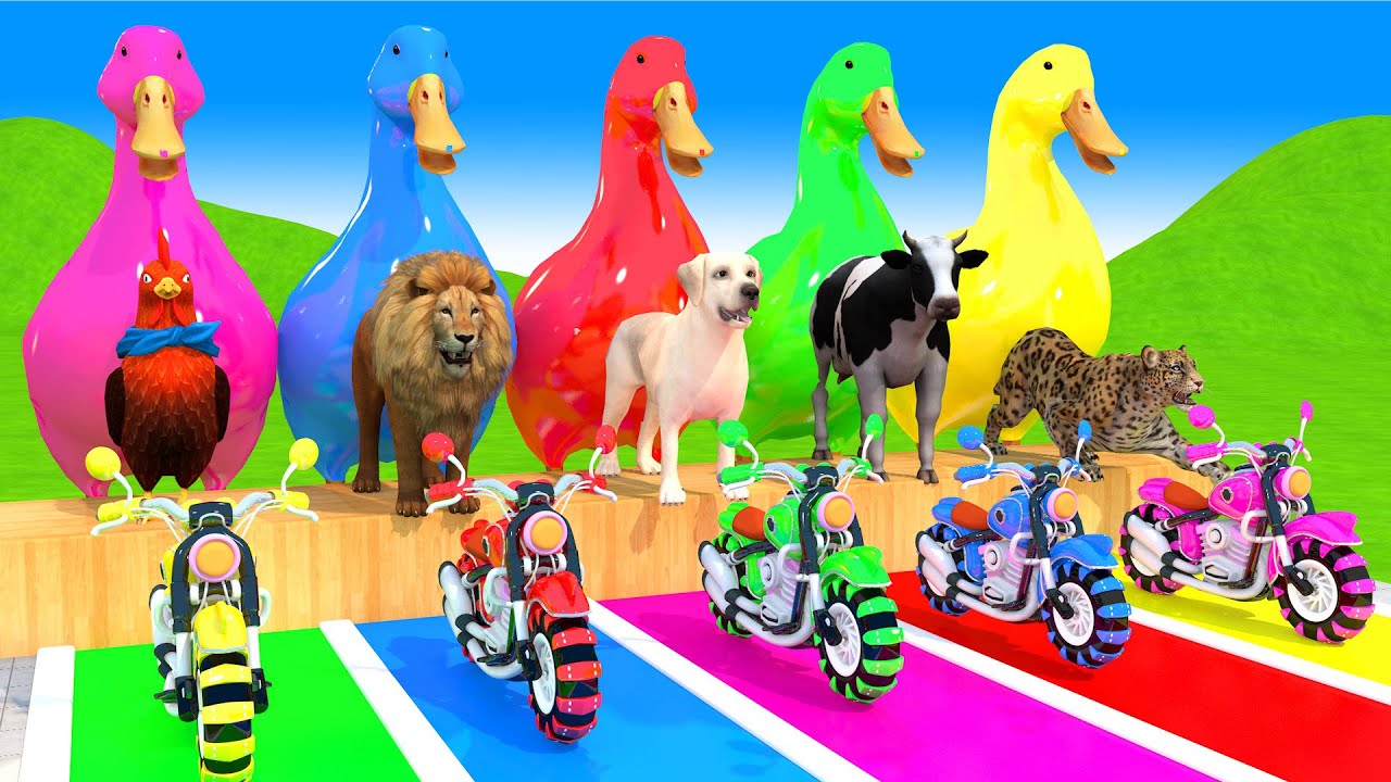 Long Slide Game With Cow Elephant Gorilla Hippopotamus Tiger - 3d Animal Game - Funny 3d Animals