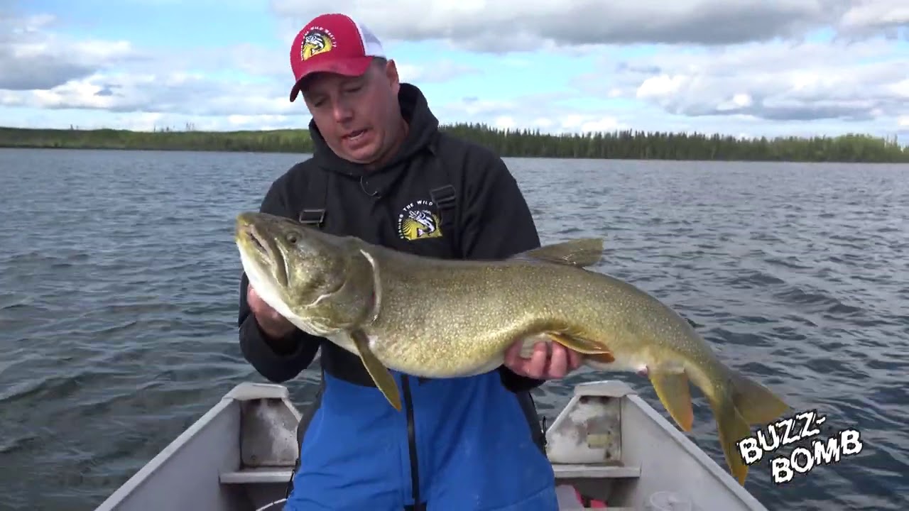 Catch Lake Trout with Buzz Bomb, Jig for Lakers