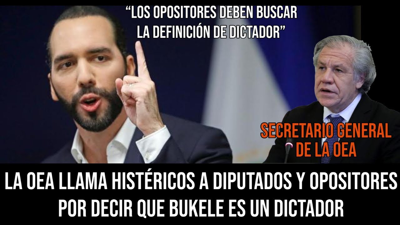 La OEA llama HIST&Eacute;RICOS a los Diputados y Opositores que usan BukeleDictador en sus Campa&ntilde;as