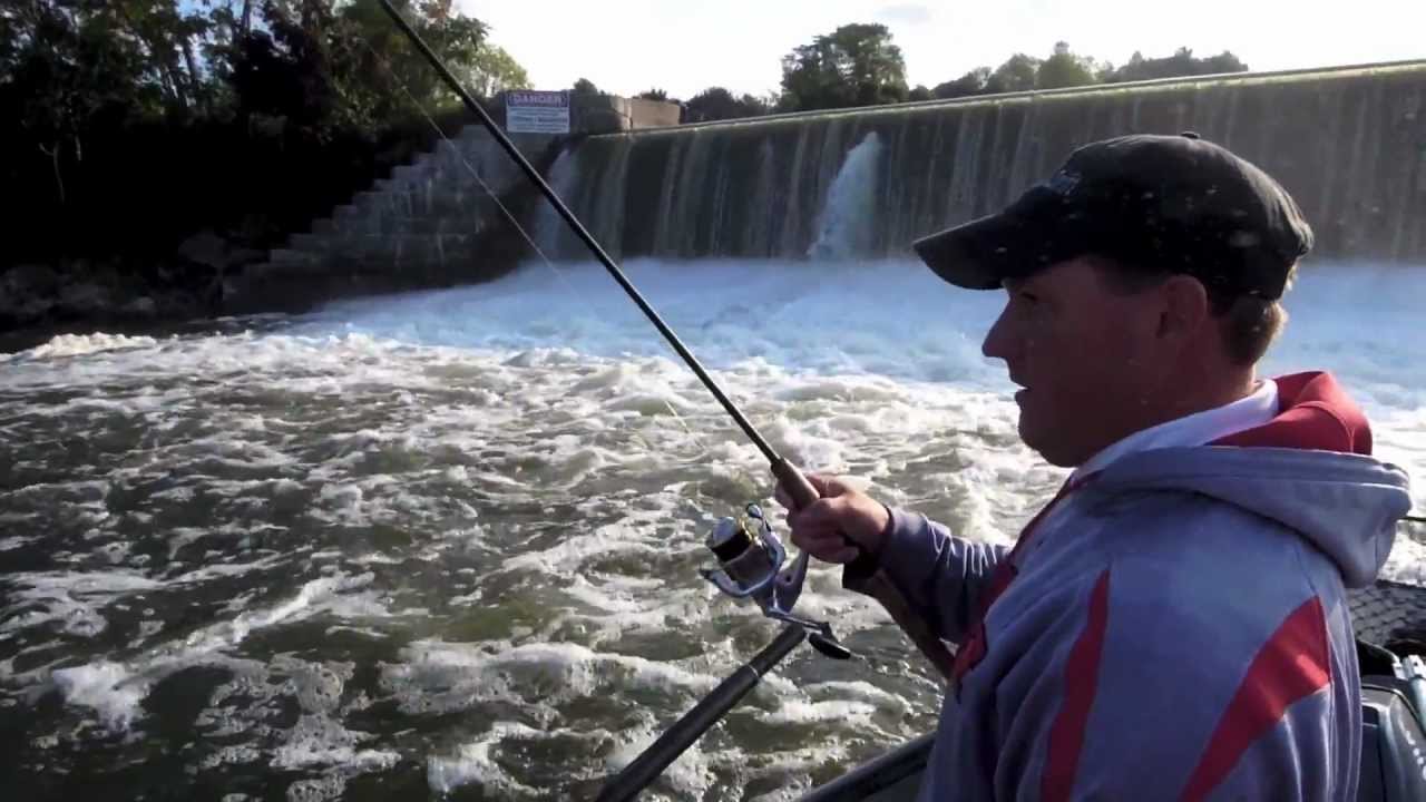 Oswego River Fall Salmon Fishing