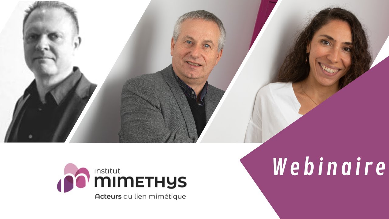 [ WEBINAIRE ] L’intérêt d’une approche intégrative dans le psychotraumatisme