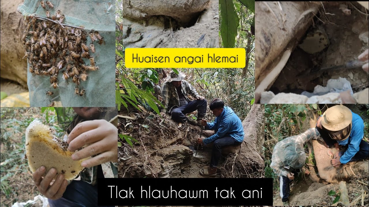 LENGKIR SANG HLAUHAWM LUTUK AH KHUAI KHAWI TUR KAN LA.
