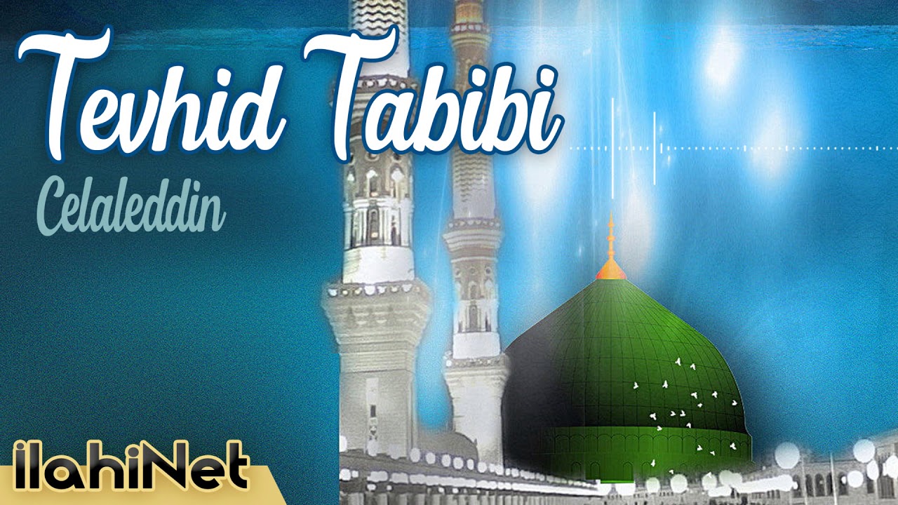 Tevhid Tabibi - Celaleddin    |  İlahiNet