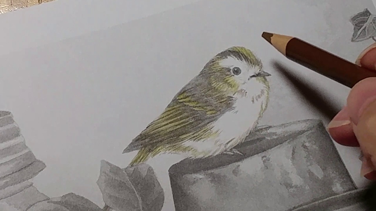 Adorable Animals Greyscale Color Along pt.1