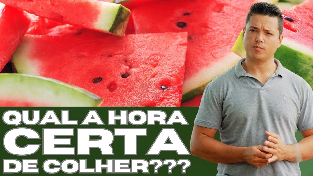 Posso plantar quantas vezes na mesma area?