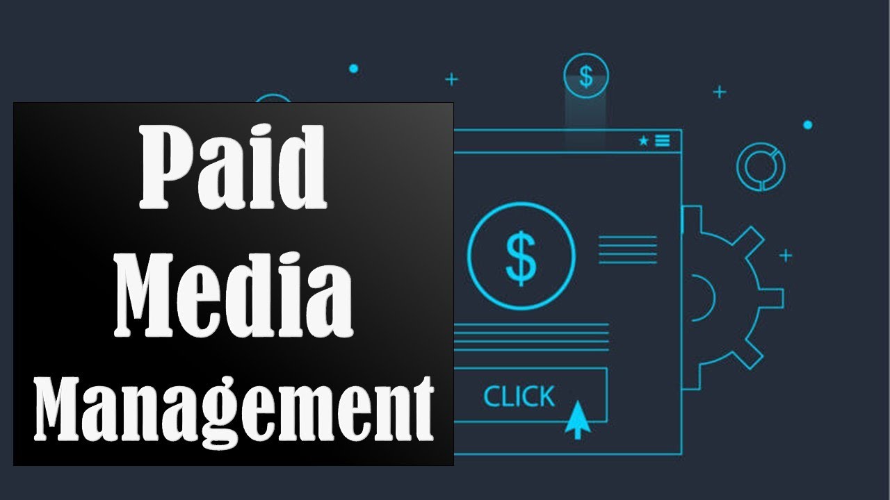Paid Media Management