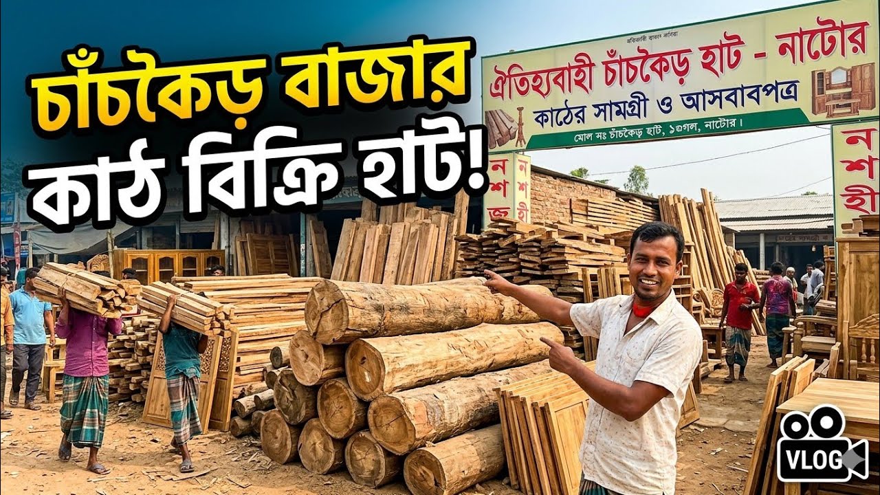চাচকৈড় বাজারে কাঠ বিক্রি হাট | গুরুদাসপুর নাটোর | আজকের কাঠের দাম ও বাজার পরিস্থিতি