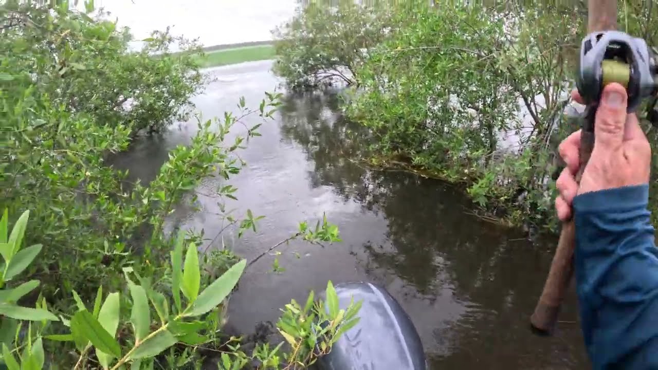 Floodplain Barramundi Part III