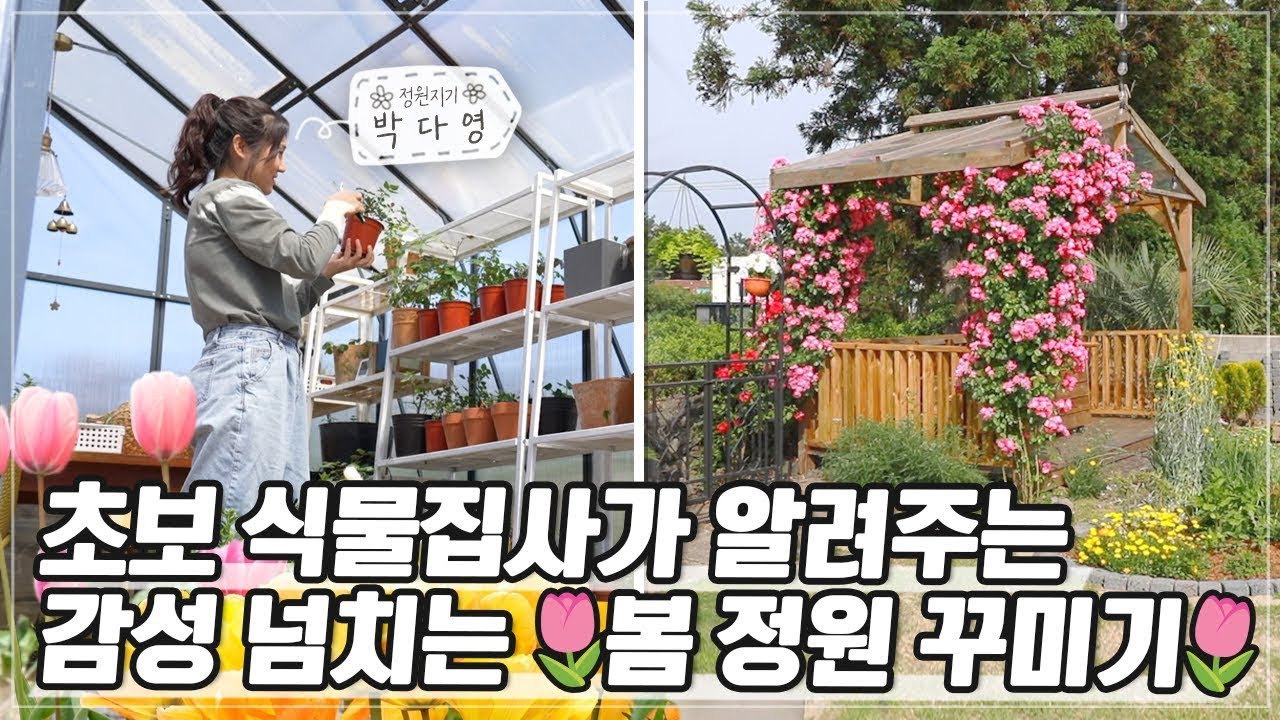 봄, 즐거운 노동의 시작 Spring is coming! | 정원의 발견 Wonders of Garden | KBS제주20230324방송