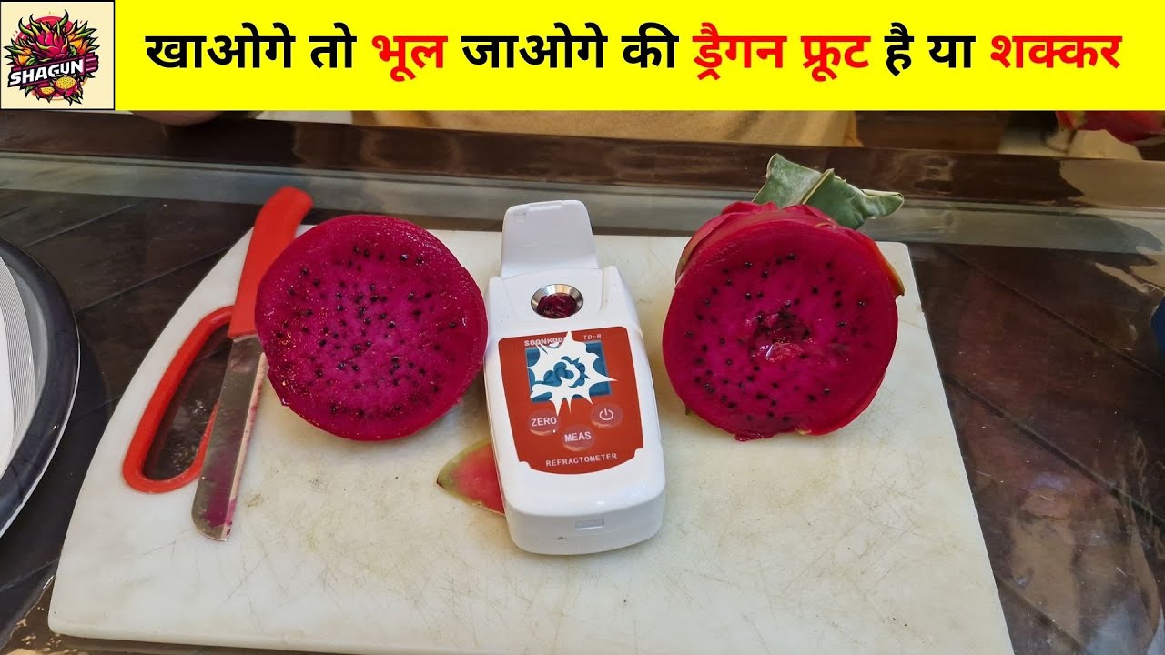 High Brix Sweet Dragonfruit Variety | #dragonfruitfarm @ShagunAgro