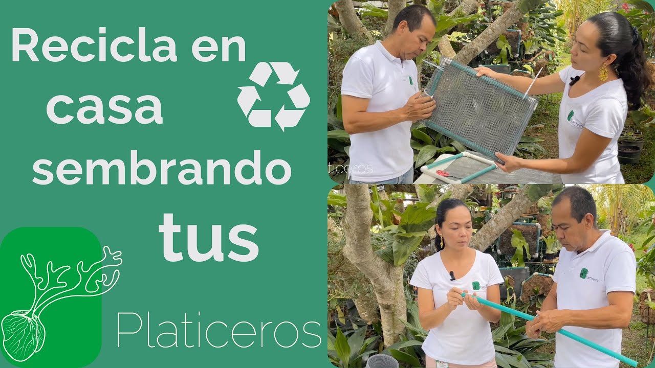🤓Macetas para tus Cuernos de Alce 🦌 nunca más serán un problema 😊