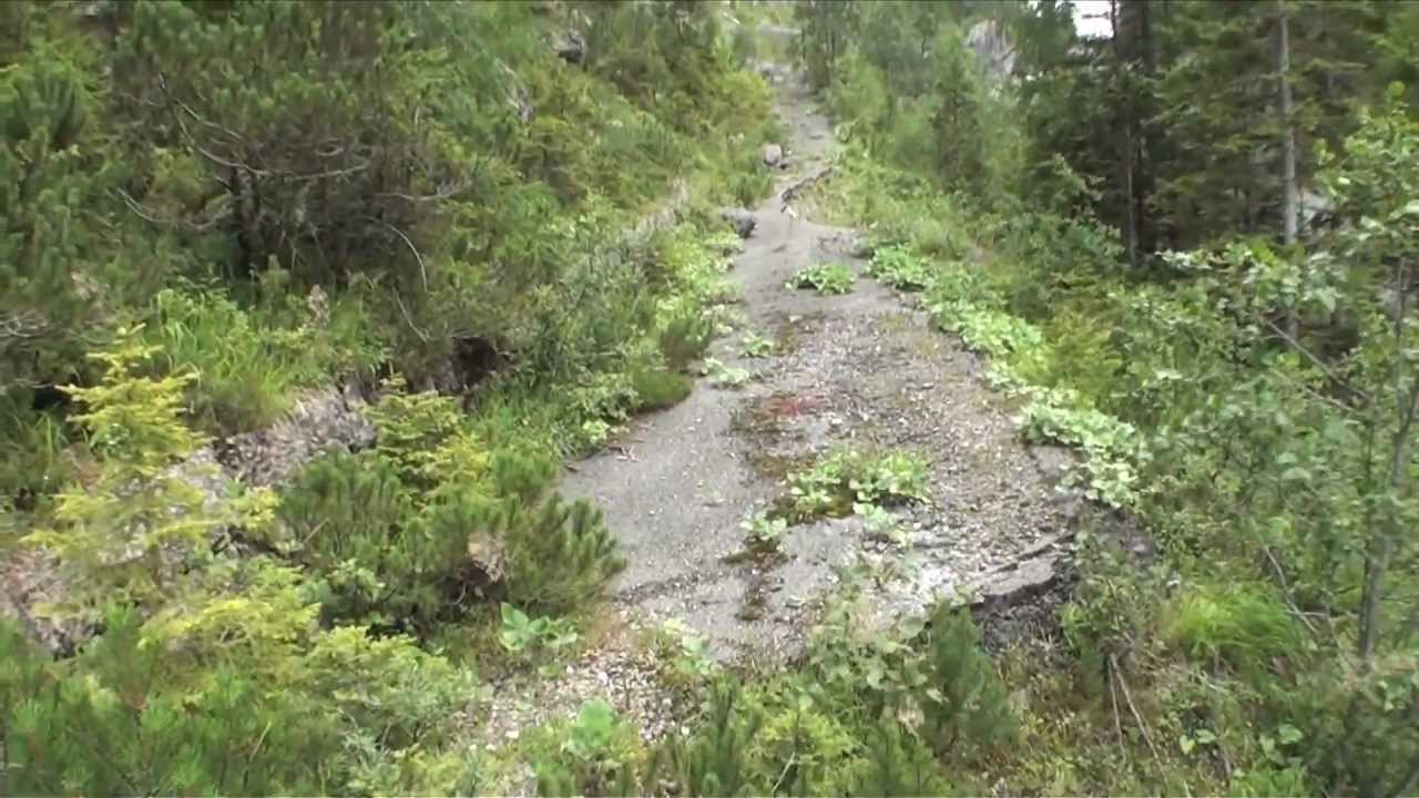 Val Frison strada abbandonata al settimo tornante