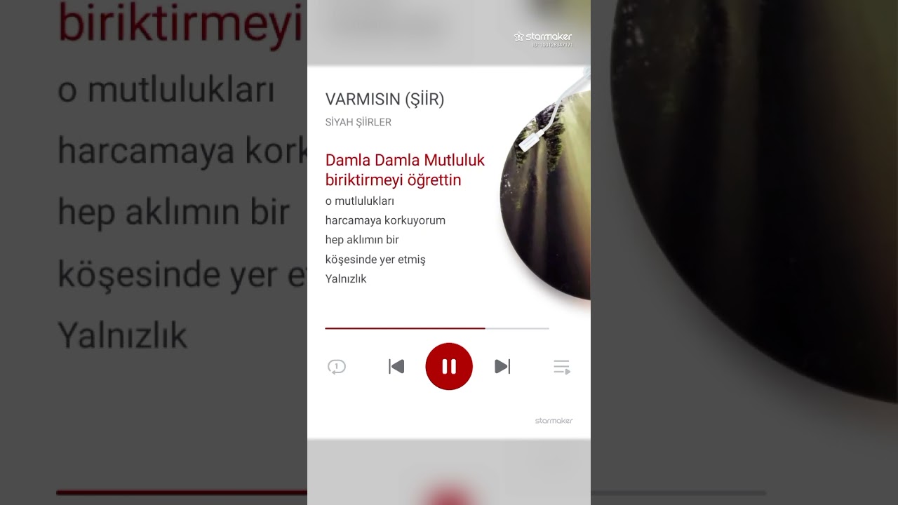 VARMISIN ( şiir) 