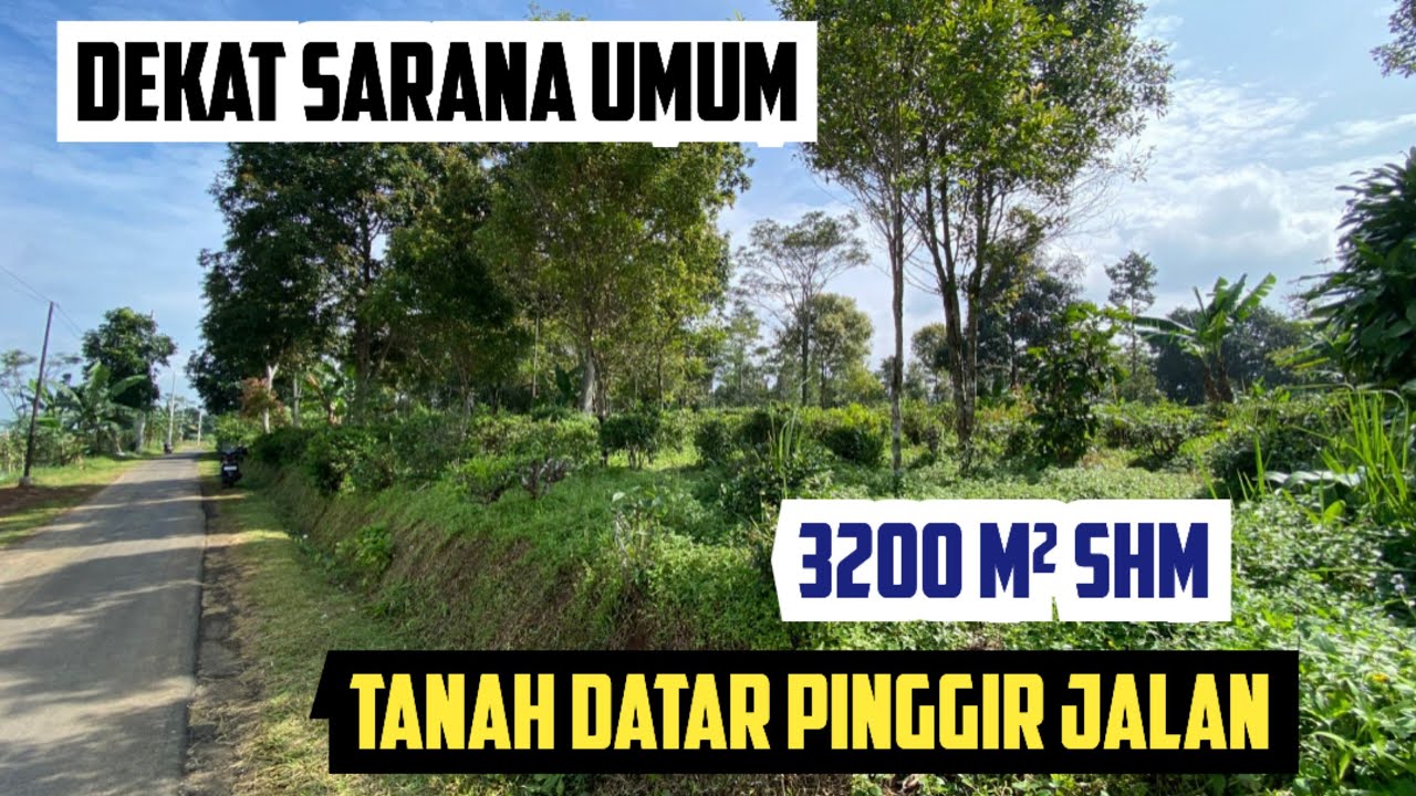 TANAH KEBUN DATAR DEKAT SARANA UMUM LUAS 3200 m2 SHM Rp 375 RIBU / M2 PINGGIR JALAN UDARA DINGIN 