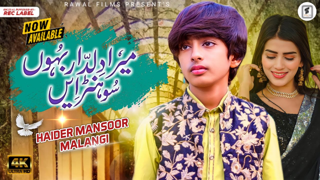 Mera Dildar Bahoon Sonran  | Haider Mansoor Malangi |  Saraiki Punjabi Song | Out Now