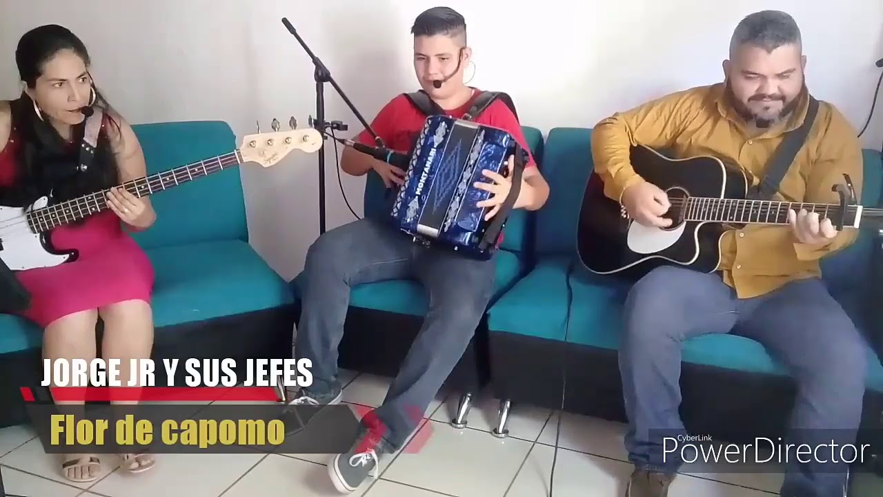 Flor De Capomo