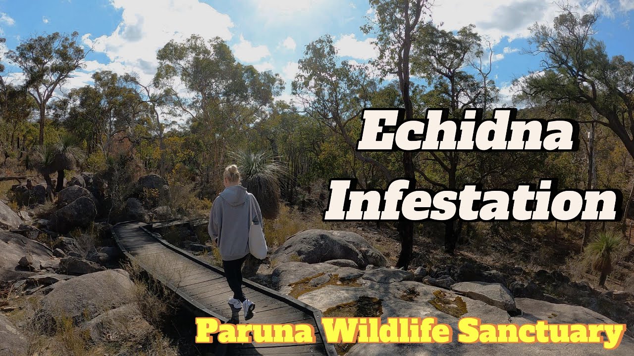 PERTH DAY HIKE - Paruna Wildlife Sanctuary - Perth Hills (Western Australia)