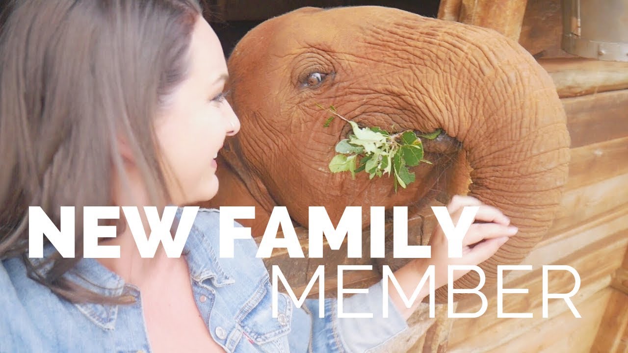 I Adopted A Baby ELEPHANT!