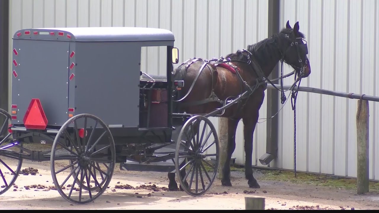How the Amish are adjusting their lives due to the coronavirus...