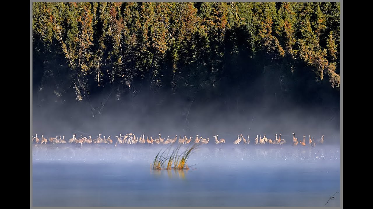 MATIN DE BRUME