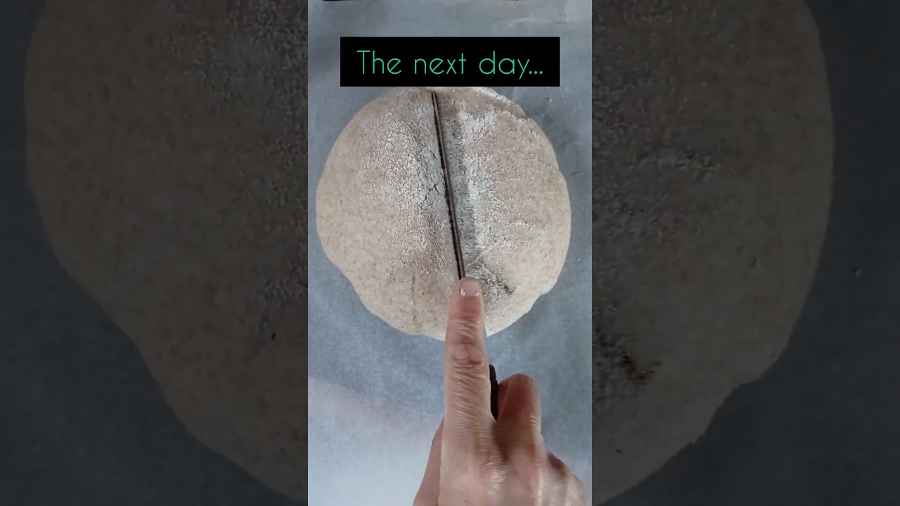 Sourdough spelt bread 