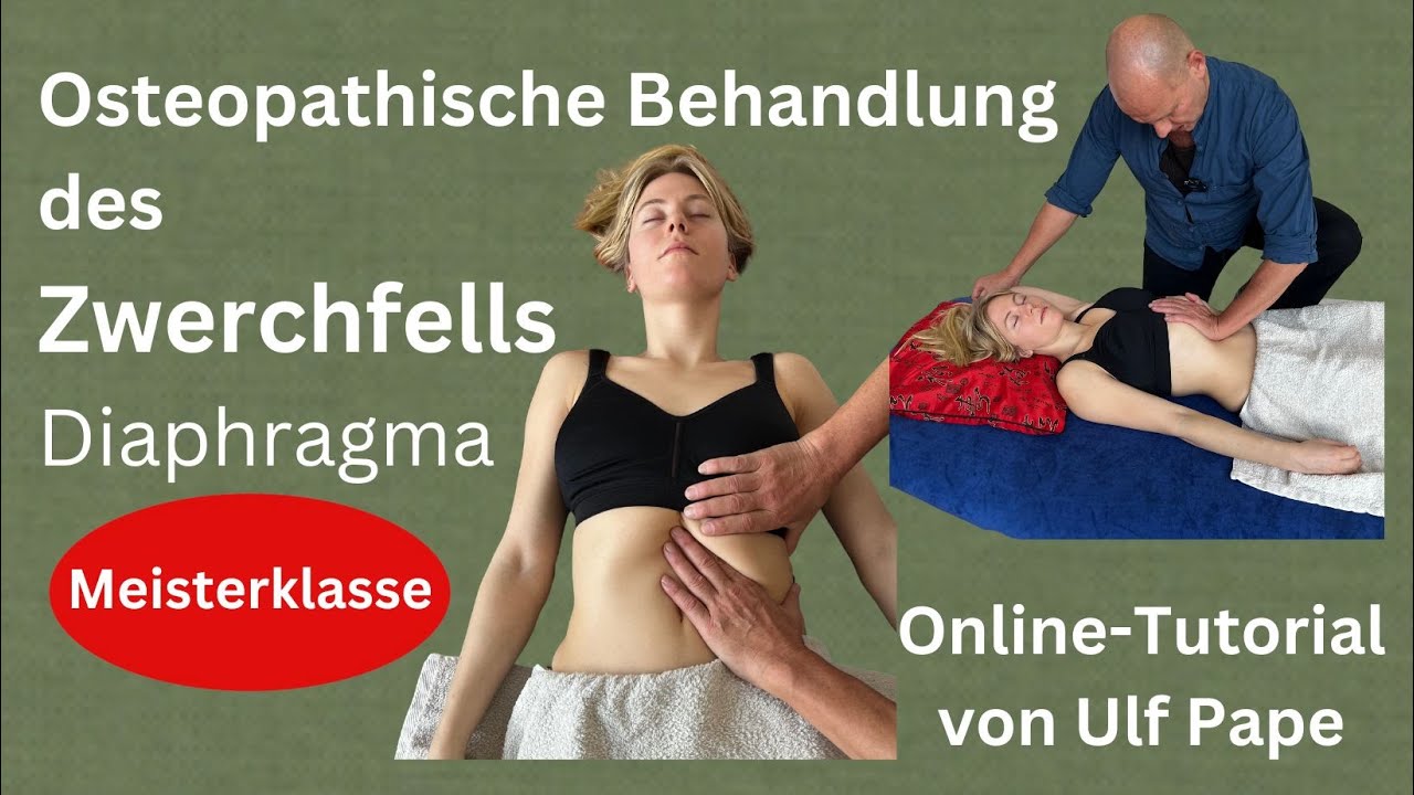 Das Zwerchfell (Diaphragma) im Kontext komplexer Krankheitsbilder: Osteopathie und Akupressur