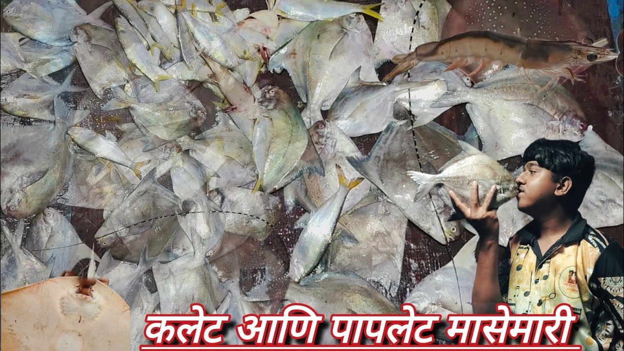 🐟🐠कलेट आणि पापलेट मासेमारी.🐟🐠|| खोल समुद्रात जाऊन पकडले मोठे कलेटआणि पापलेट.🐟🐠