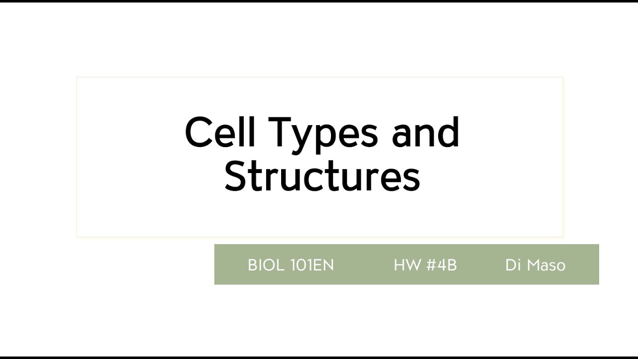 Cell Types and Structure (Homework)