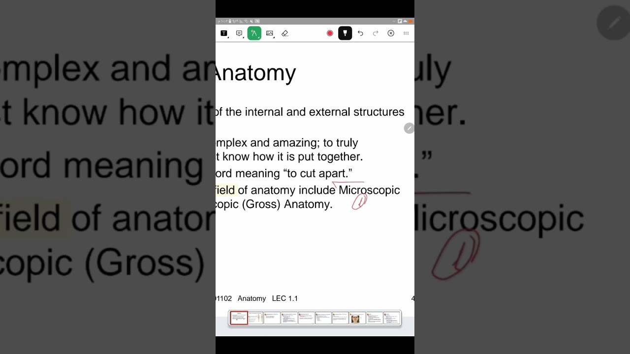 Introduction to Anatomy..1