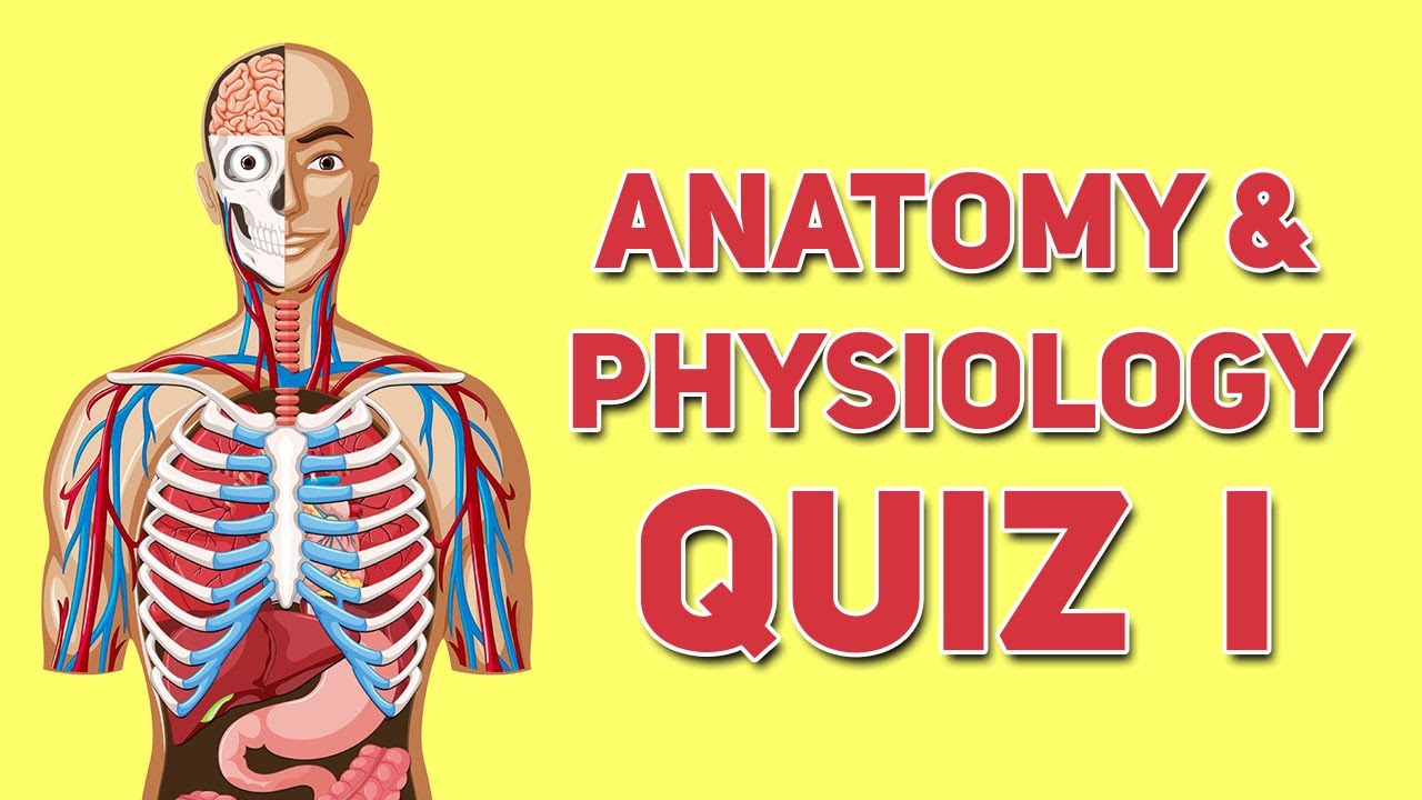 Anatomy and Physiology Quiz ( Part 1 )